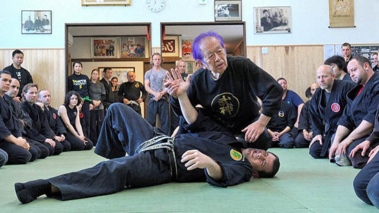 Bujinkan